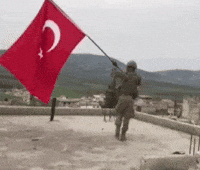 Turkey GIF