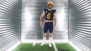 Toledo Football GIF by Toledo Rockets