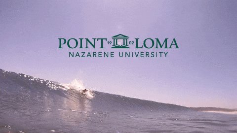 wave surf GIF by Point Loma Nazarene University