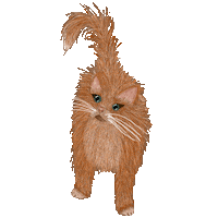 chantallenting cat illustration text animal Sticker