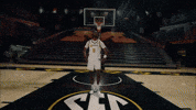 Ncaa Basketball GIF by Mizzou Athletics