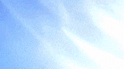 Basket Baloncesto GIF by San Pablo Burgos