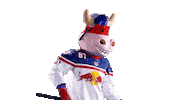 Rob Ice Hockey Sticker by EC Red Bull Salzburg