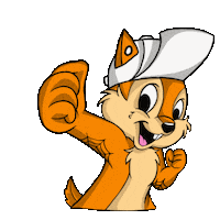 Squirrel Yes Sticker