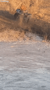 Sudden Stop Sends Man Flying GIF by ViralHog