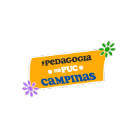 Puc Pedagogia Sticker by PUC-Campinas