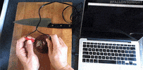 hacking jimmy fallon GIF by The Tonight Show Starring Jimmy Fallon