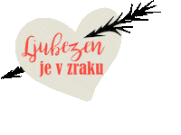 Grill Hrana Sticker by Lidl Slovenija