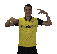 Celebration Bscyb Sticker by BSC Young Boys