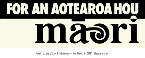 Politics Maori GIF by MāoriParty
