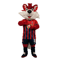 molfehervarfcgif fox roka vidi szekesfehervar Sticker