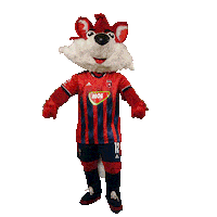 molfehervarfcgif fox roka vidi szekesfehervar Sticker