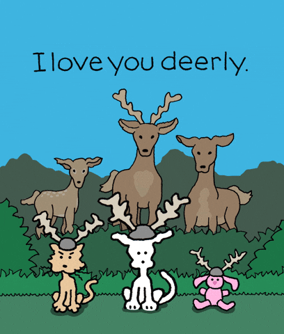 I Love You Cats GIF by Chippy the Dog