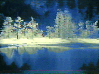 winter trees GIF by Royal Smith