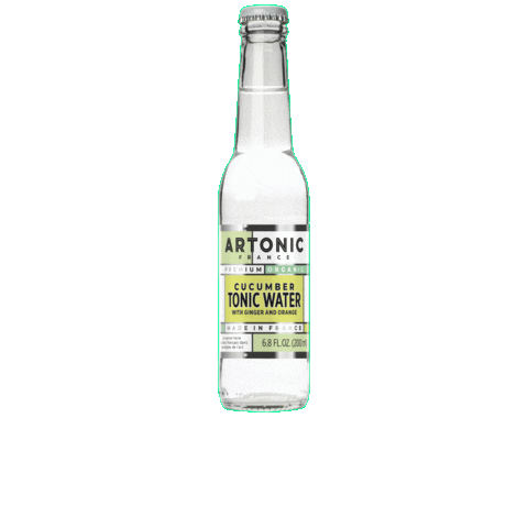 ARTONIC giphygifmaker premium apero cucumber Sticker