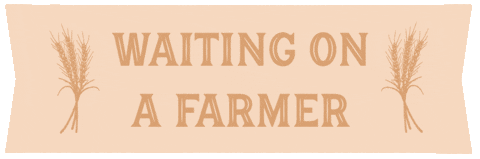 thisfarmwife giphyupload waiting farmer farming GIF