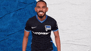 Bundesliga Berlin GIF by Hertha BSC