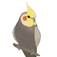 Rainbow Bird Sticker