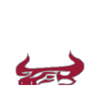 BaldwinSchoolPR bullspride baldwinschoolofpr baldwin bull Sticker