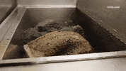 viceland GIF by It's Suppertime