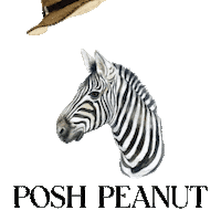 Dante Zebra Sticker by Posh Peanut