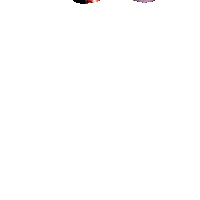 Circus Cirque Sticker