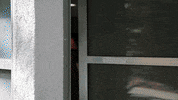chevy chase christmas GIF by WhoSay