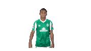 Bundesliga Felix Sticker by SV Werder Bremen