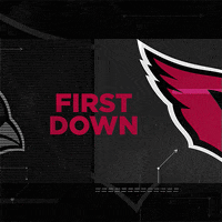 Football Nfl GIF by Arizona Cardinals