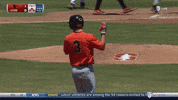 Matthew Gretler GIF by Oregon State Baseball