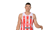 Kkcz Delije Sticker by BC Crvena zvezda