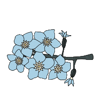 bydaisydalia flower floral deco flora Sticker