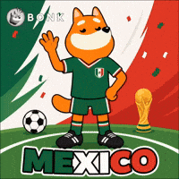 Crypto Mexico GIF by BONK