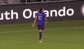 Womens Soccer What GIF by National Women's Soccer League