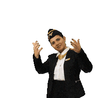 Airplane Come Here Sticker by nowall