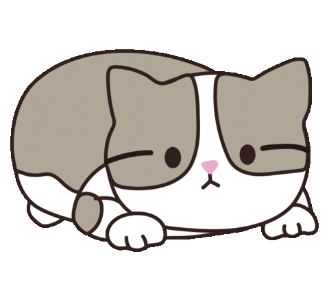 happiter__ giphyupload 고양이 댄스 춤 Sticker