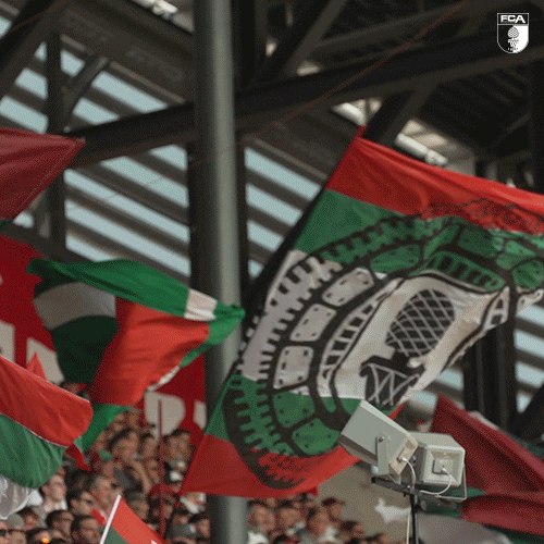 Wwk Arena Football GIF by FC Augsburg 1907