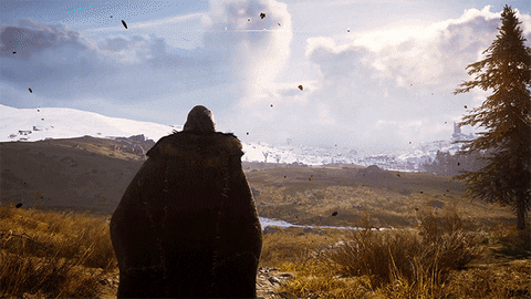 Assassins Creed Valhalla GIF by Xbox
