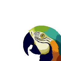 Venezuela Parrot Sticker by Arepas House