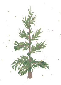 Christmas Tree Sticker by Cedar Rose Stationery