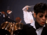 prince dolphin GIF