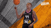 Sport Basketball GIF by Basket_fi