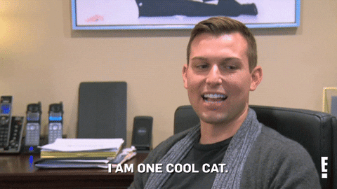 Cool Cat GIF by E!