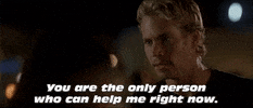 Fast And Furious GIF by The Fast Saga