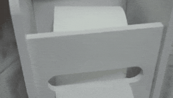 LKPM giphygifmaker GIF