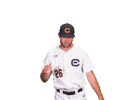 Uc Berkeley Baseball Sticker by Cal Athletics