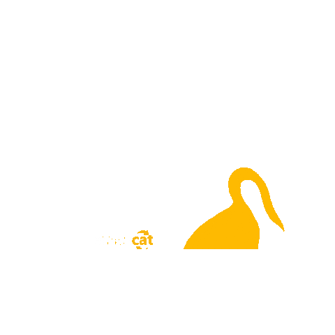 Cat Sticker by Amazcat