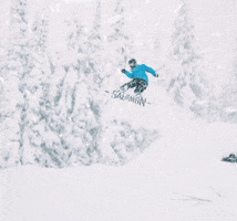 Snowboard Shred GIF by Nothinbutsnow