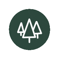 campingsauvergne nature green forest sapin Sticker