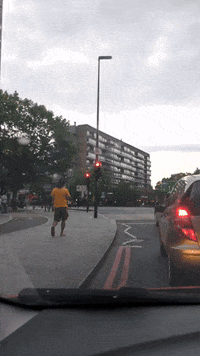 GIF by Stella 52